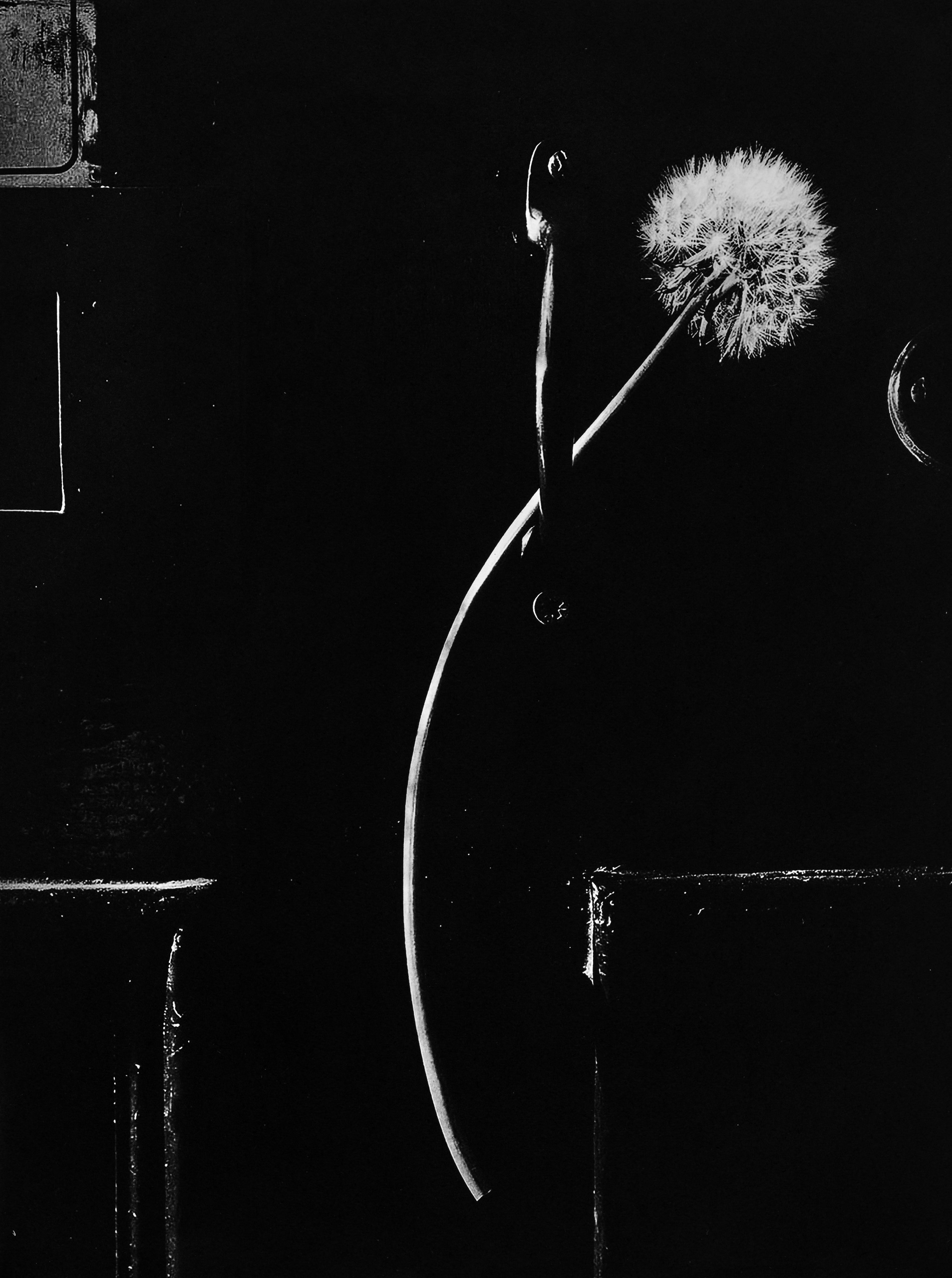 アート・デザイン・音楽 Jack Davison / photographs 2022 Steeped In Mystery, Jack Davison's Latest Photographic Works