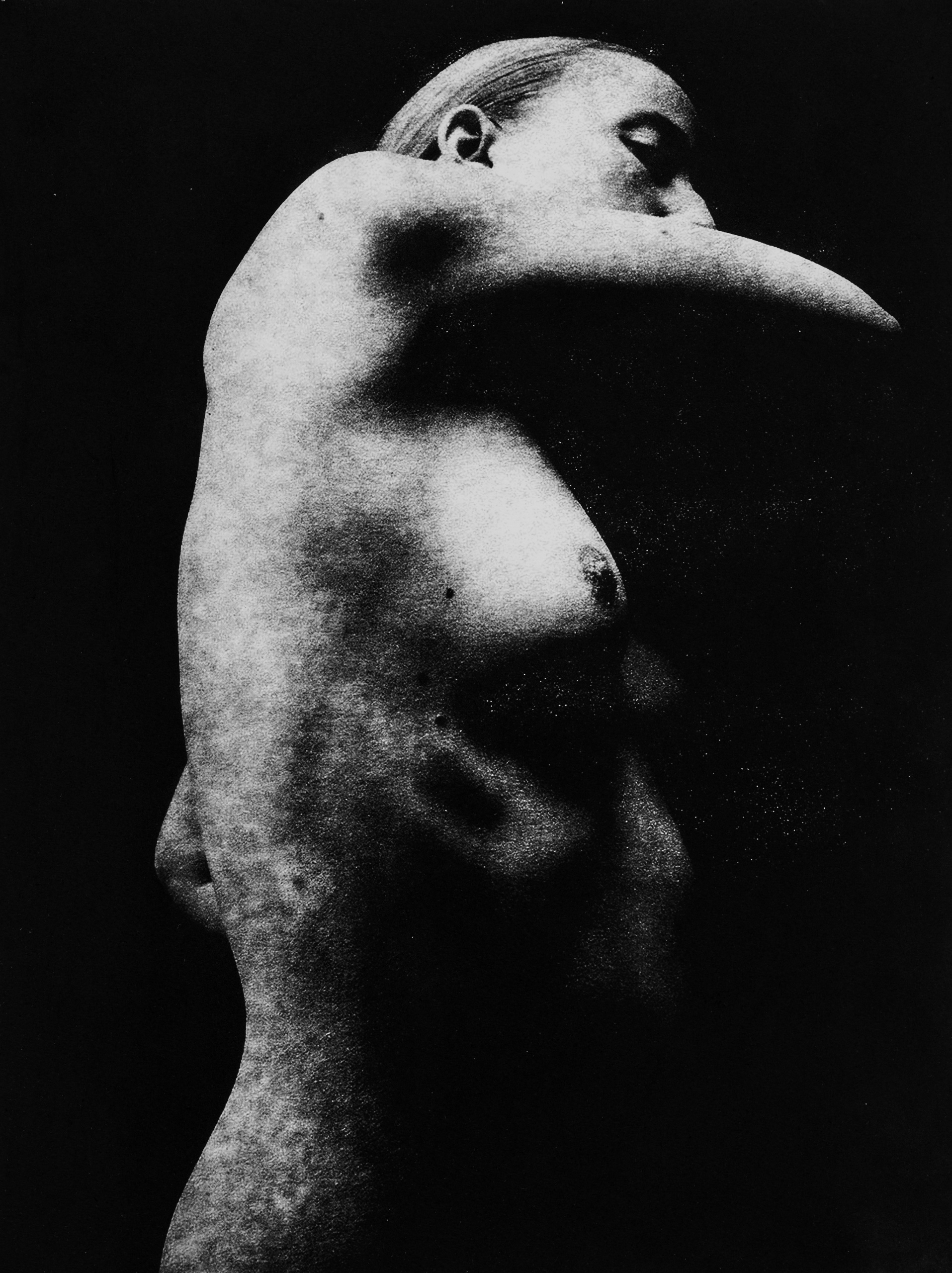 Jack Davison: Magic and wonder