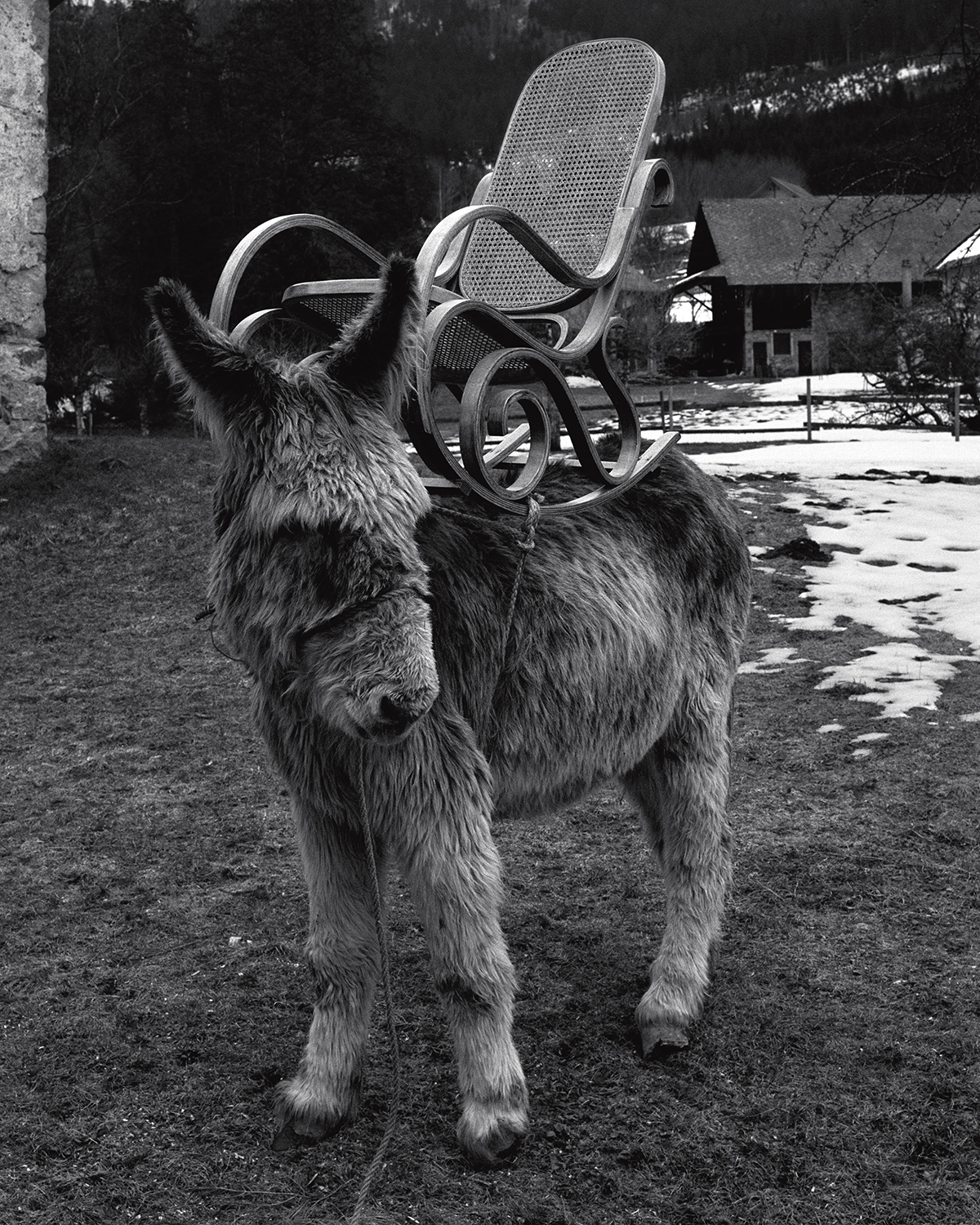 Thomas Rousset's Prabérians is a fantastical study of rural France