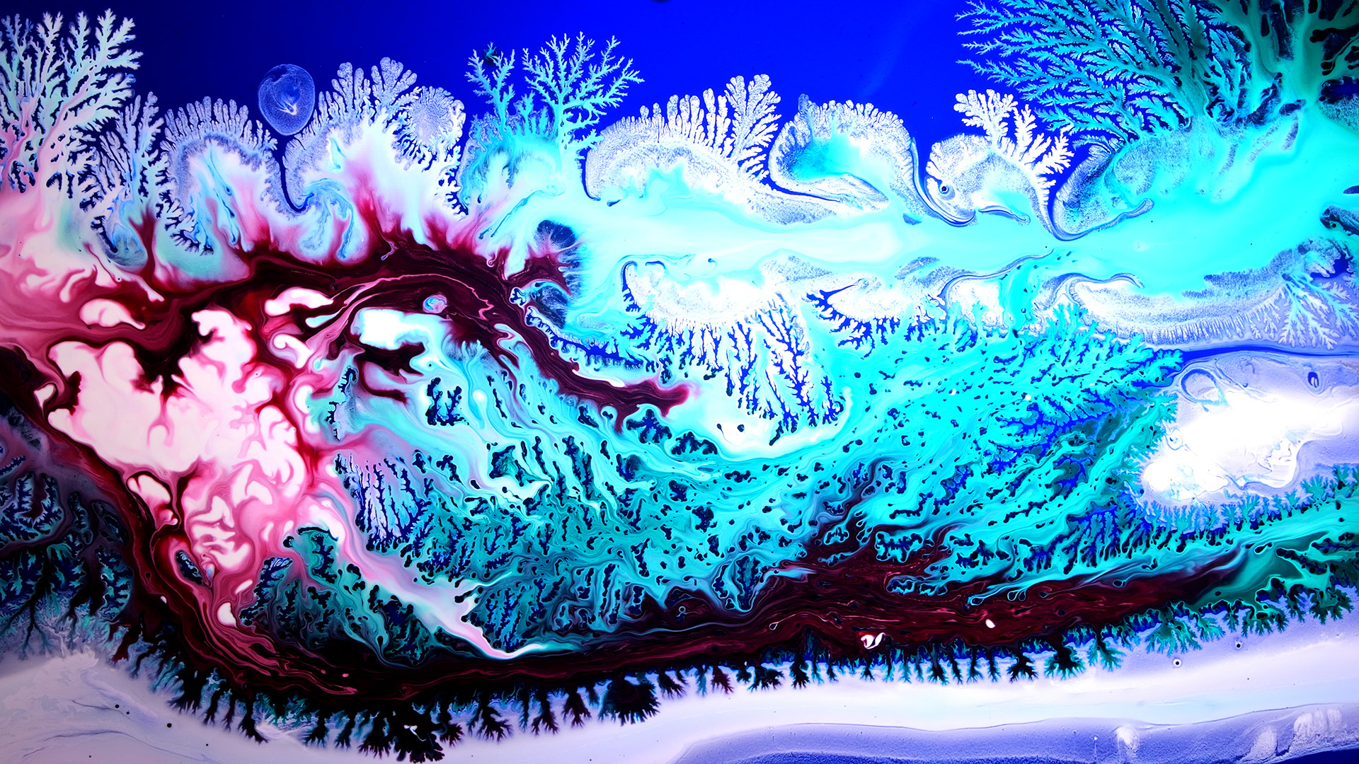 Floating Points' new video is a fluid exploration of lifeforms