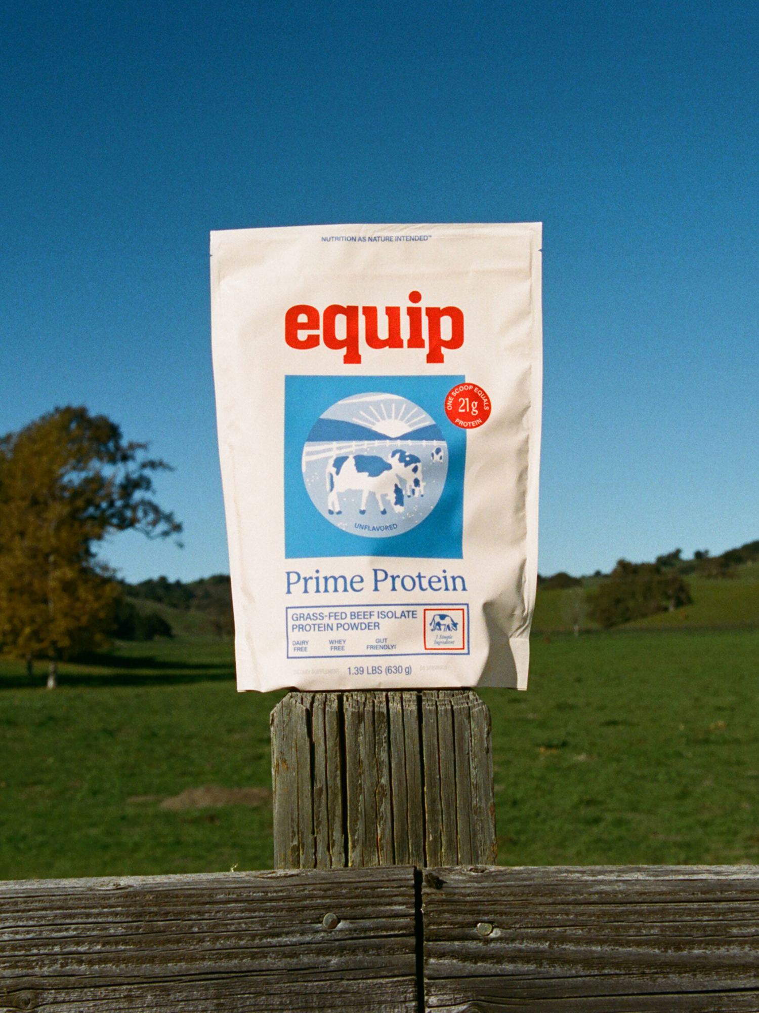 Wedge balances heritage and modernity in a new look for protein brand Equip