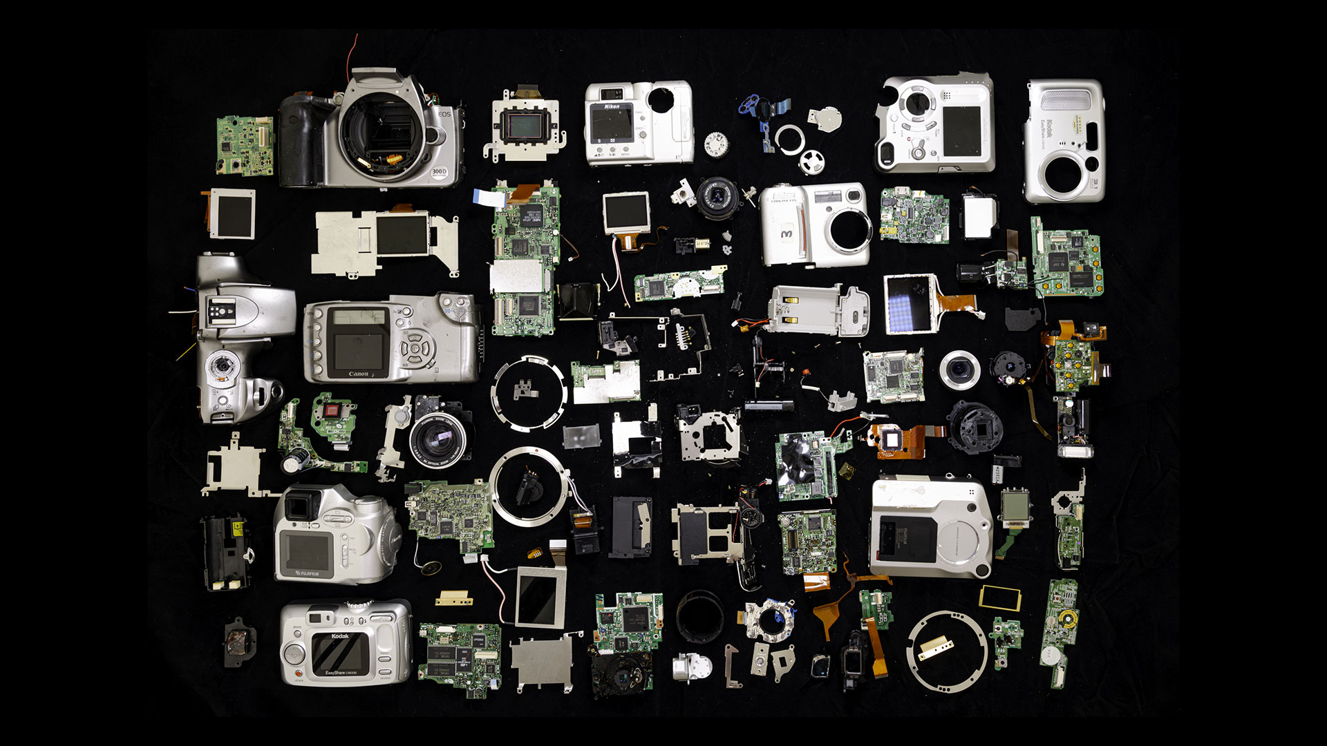 Is the camera obsolete? Belfast Photo Festival wants you to decide